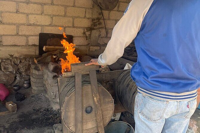 Monarch Butterflies Experience - The Sum Up: Is This Tour Worth Your Time?