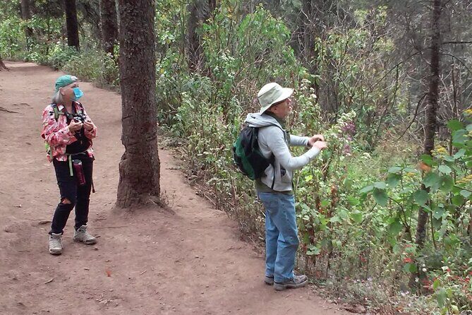 Monarch Butterfly group tour. Join me to watch #butterflies - A Deep Dive into the Monarch Butterfly Tour Experience