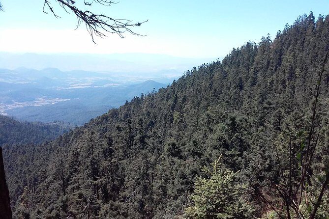 Monarch Butterfly group tour. Join me to watch #butterflies - FAQs