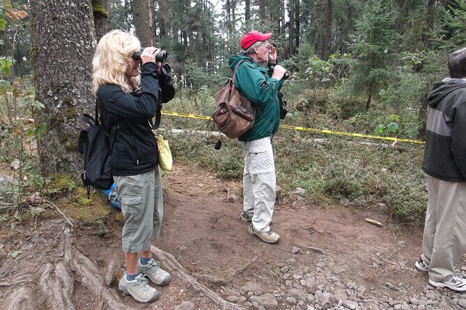 Monarch Butterfly Private Tour (Morelia) - Is This Tour Worth the Cost?