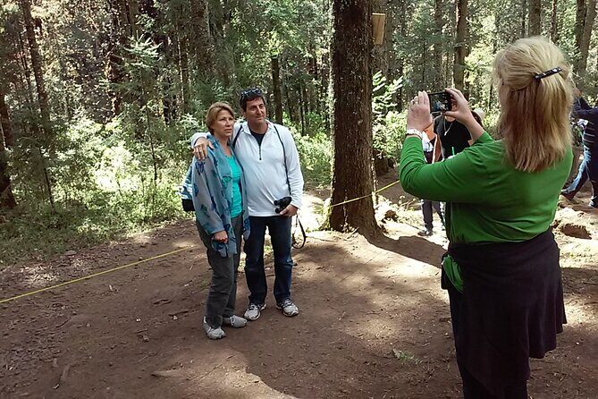 Monarch Butterfly Private Tour (Morelia) - Who Should Consider This Tour?