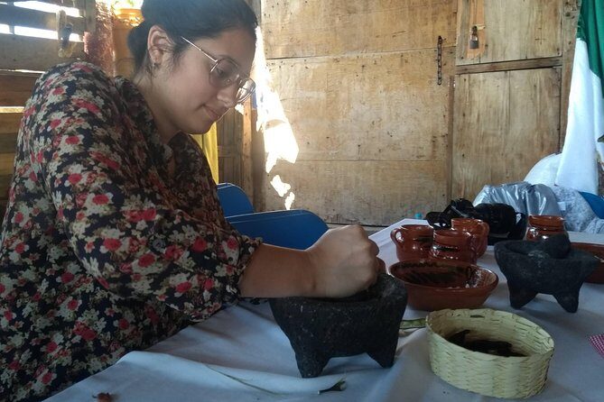 Monarch Butterfly Tour from Mexico City - Frequently Asked Questions