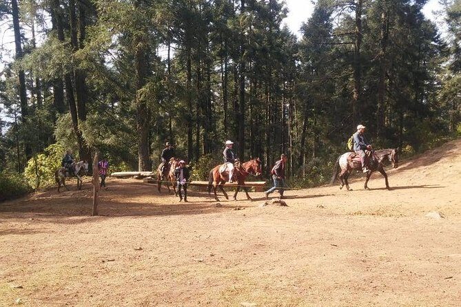 Monarch Butterfly Tour from Mexico City - Final Thoughts