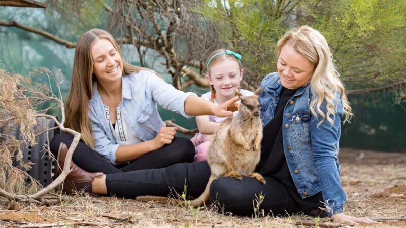 Monarto Safari Park: A Devilish Native Experience - The Practicalities