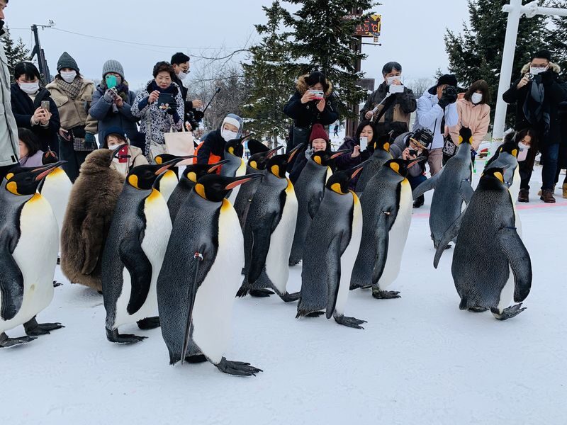 Monbetsu Icebreaker & Asahiyama Zoo & Sounkyo Ice Waterfall Festival 2-Day 1-Night Tour (Departure from Sapporo, Guaranteed Departure) - Day two: Okhotsk Tower and the icebreaker