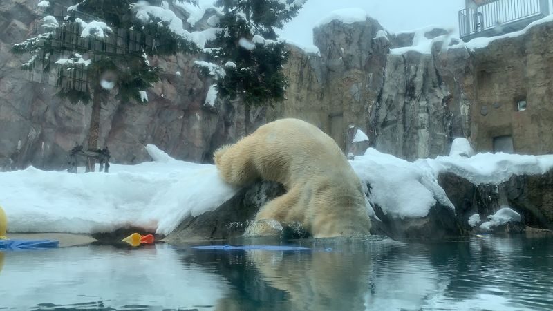 Monbetsu Icebreaker & Asahiyama Zoo & Sounkyo Ice Waterfall Festival 2-Day 1-Night Tour (Departure from Sapporo, Guaranteed Departure) - What the price covers, and what it does not