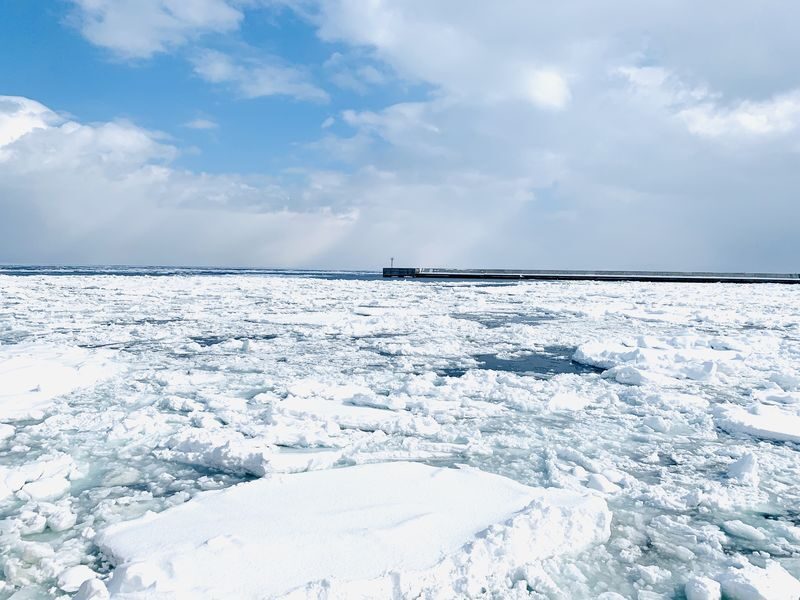 Monbetsu Icebreaker & Asahiyama Zoo & Sounkyo Ice Waterfall Festival 2-Day 1-Night Tour (Departure from Sapporo, Guaranteed Departure) - The guide, the bus and the winter realities