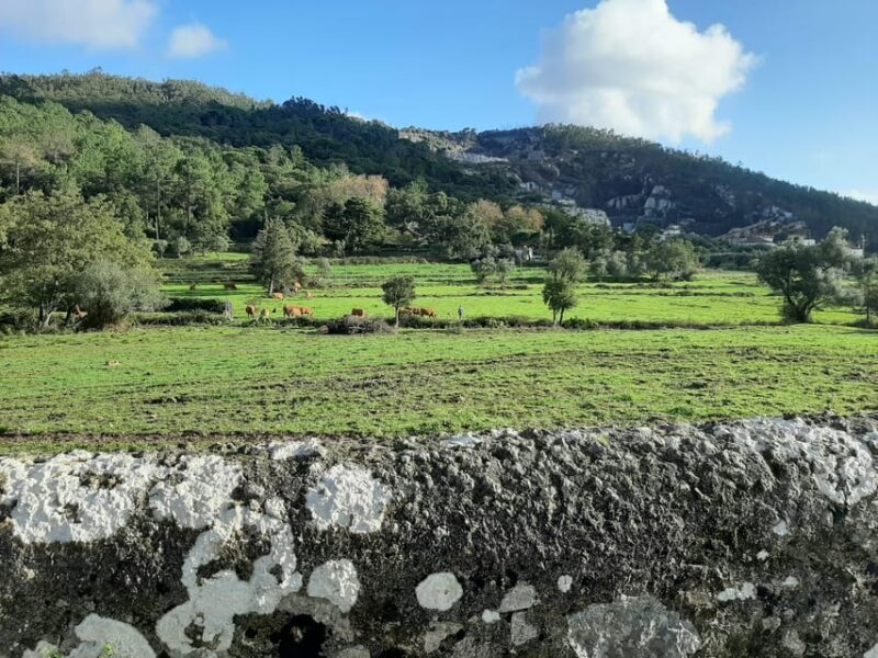 Monchique & Silves: guided day trip - Key Points