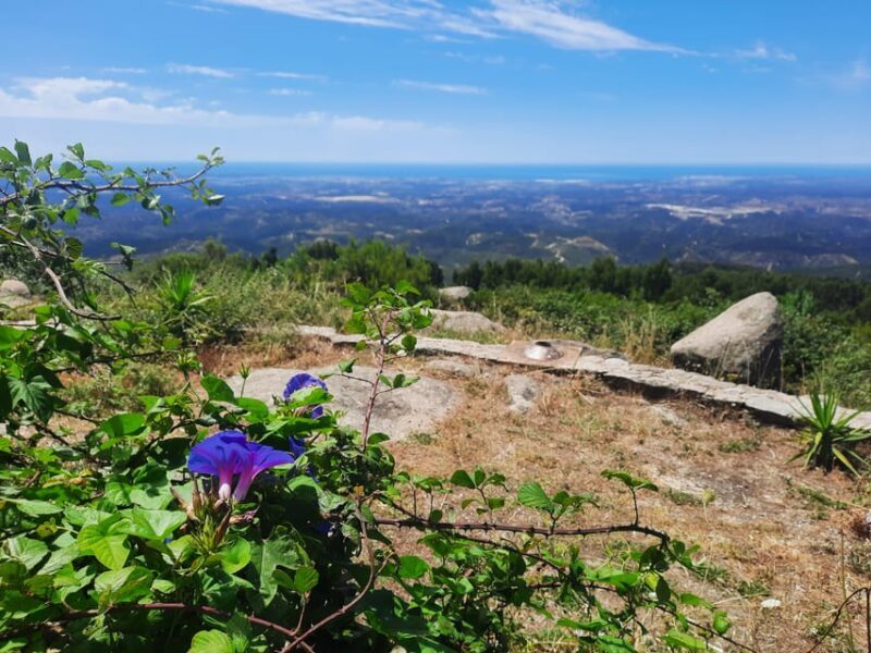 Monchique & Silves: guided day trip - What Makes This Tour Stand Out?