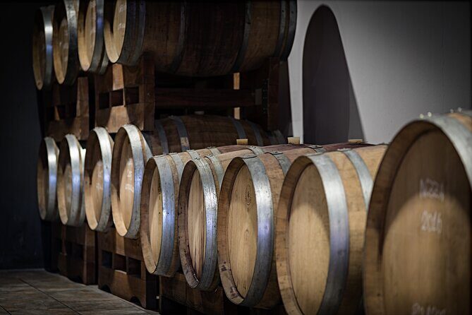 Monferrato (Asti): Wine Tour with light lunch picnic in the vineyards - Key Points