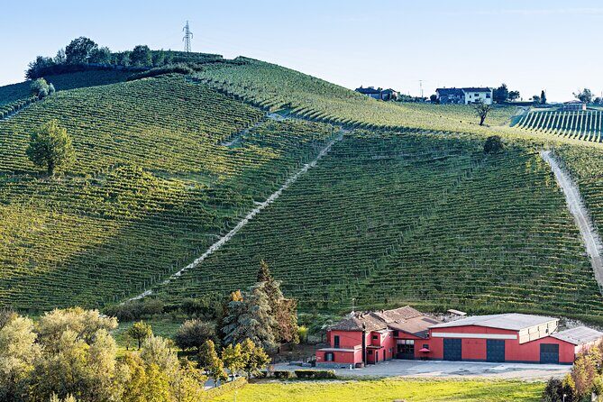 Monferrato (Asti): Wine Tour with light lunch picnic in the vineyards - Who Would Enjoy This Tour?