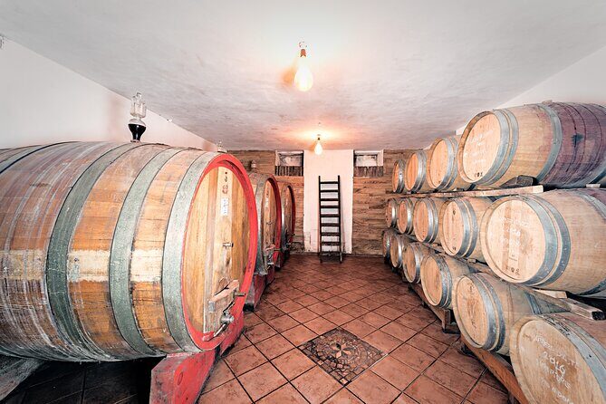 Monferrato (Asti): Wine Tour with light lunch picnic in the vineyards - Final Thoughts
