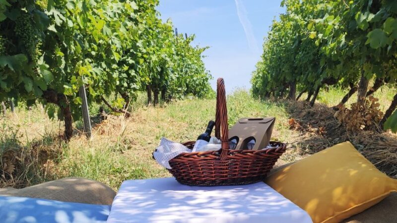 Monferrato: Garetto Wine Estate Tour and Picnic Private - The Sum Up: Who Should Sign Up?