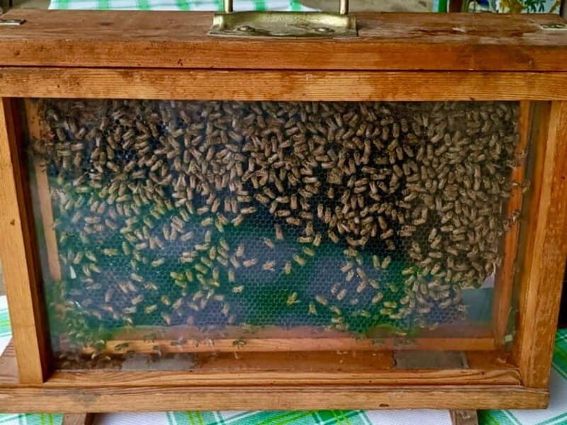 Monferrato: Honey and Mead Tasting Experience - FAQ