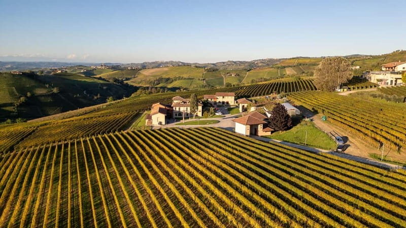 Monforte d'Alba: 7 glasses of Langhe with visit to Winery and Vineyards - Exploring Monforte dAlba: A Wine Lover’s Dream
