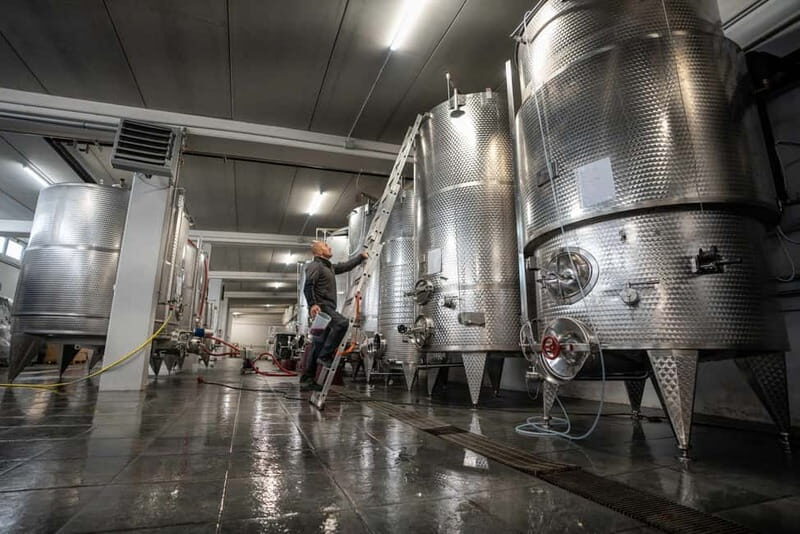 Monforte d'Alba: 7 glasses of Langhe with visit to Winery and Vineyards - A Closer Look at the Experience