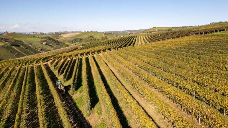 Monforte d'Alba: 7 glasses of Langhe with visit to Winery and Vineyards - Final Thoughts