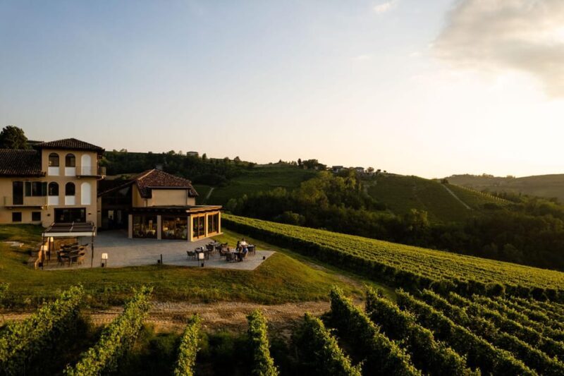 Monforte d'Alba: Barolo Tasting, Vineyard & Cellar Visit - Key Points
