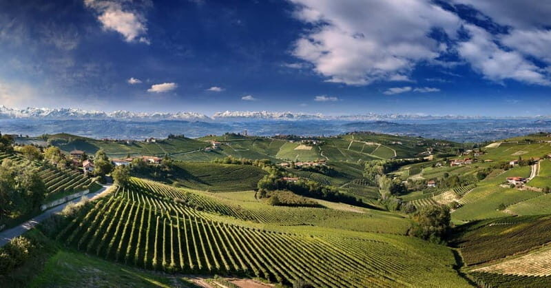 Monforte d'Alba: Picnic & Big Benches - The Iconic Big Benches