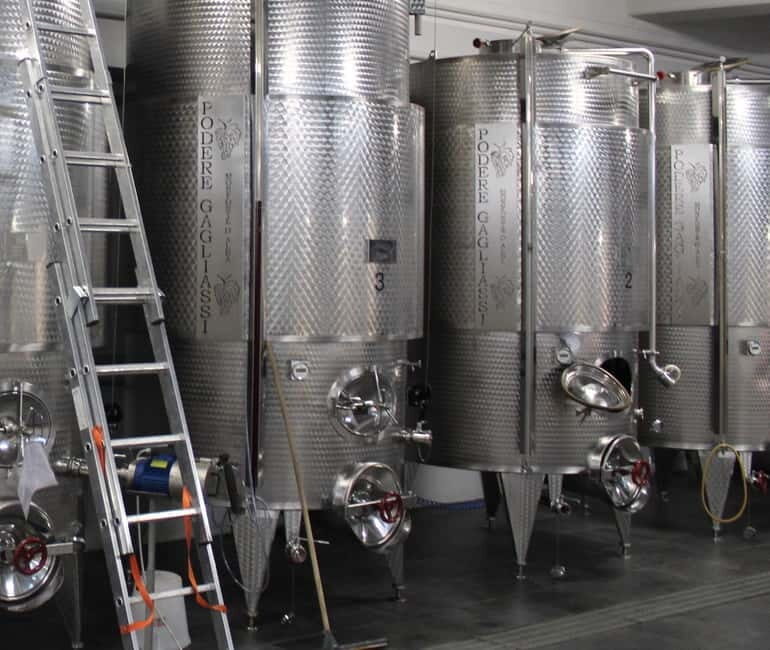 Monforte d'Alba: Wine Tasting, Cellar Visit, and Vineyard Tour - Why This Tour Stands Out