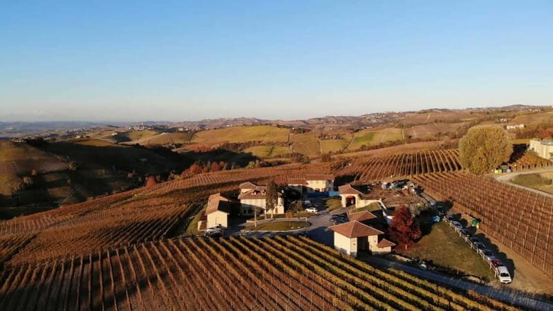Monforte d'Alba: Wine Tasting, Cellar Visit, and Vineyard Tour - Who Should Consider This Tour?