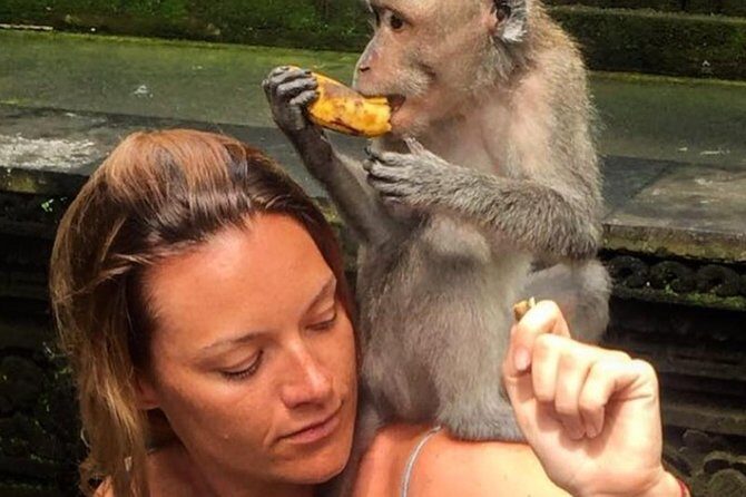 Mongkey Forest , Water Temple , Waterfall and Rice Terraces - Starting at Ubud’s Sacred Monkey Forest Sanctuary
