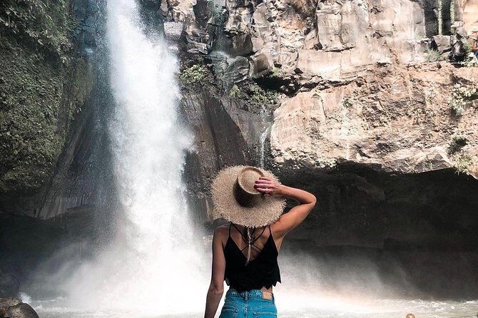 Mongkey Forest , Water Temple , Waterfall and Rice Terraces - Authenticity and Value