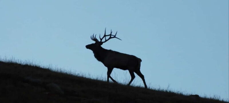 Mongolia: Hustai National Park - The Sum Up
