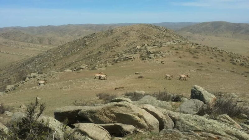 Mongolia: Mini Gobi, Orkhon, and Kharkhorin 4 Day Tour - Who Should Consider This Tour?