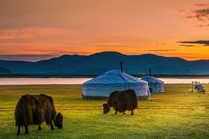 Mongolia - Sedan, Lexus, UAZ Minivan, 4WD Tour& Transport Service - Practicalities and Considerations