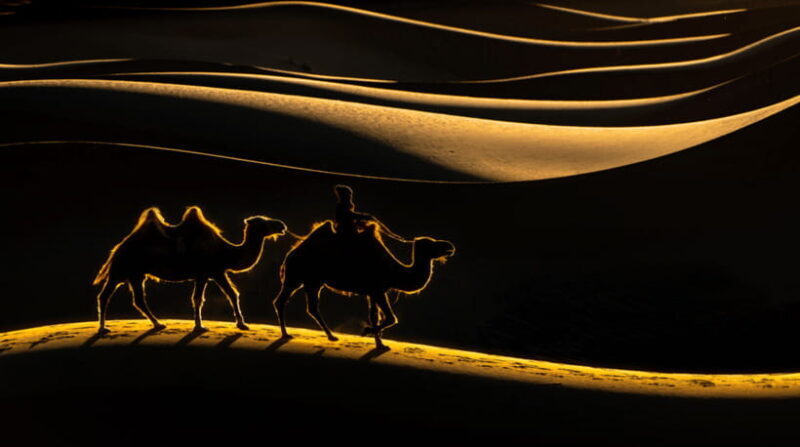 MONGOLIA SOUTH GOBI DESERT: 6 Day Exclusive Private Tour - FAQ