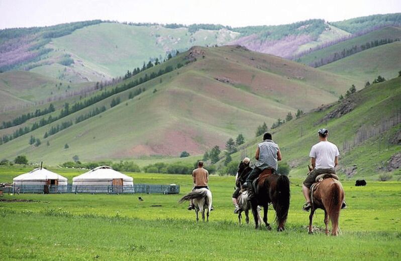 MONGOLIAN NOMADS: 2-Day Horse Trekking & Cow Milking Tour - An In-Depth Look at the 2-Day Nomad Tour