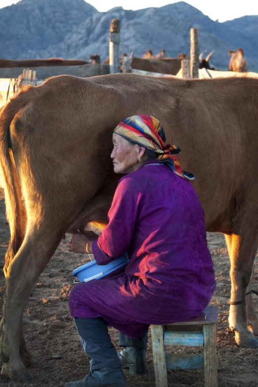 MONGOLIAN NOMADS: 2-Day Horse Trekking & Cow Milking Tour - Final Thoughts