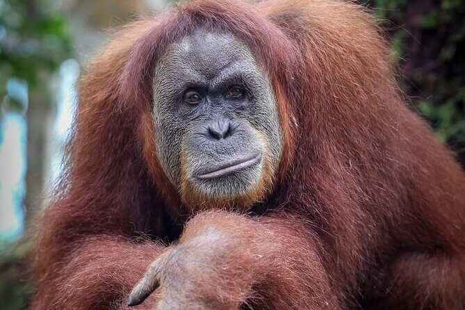 Monkey Business 3 days - 2 nights Jungle trekking (including rafting) - Final Thoughts