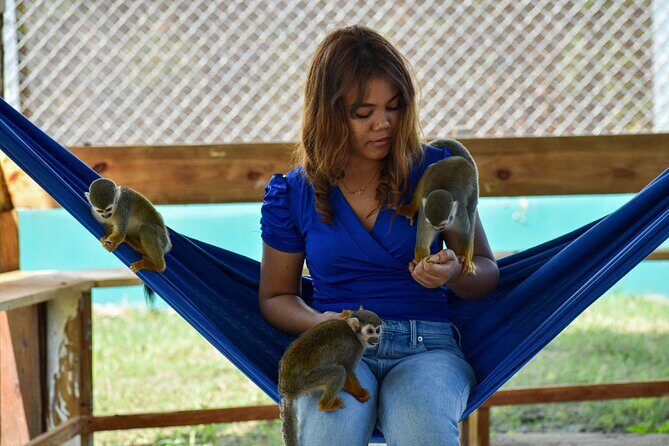 Monkey Encounter and Horse-Riding Tour in Puerto Plata - FAQs