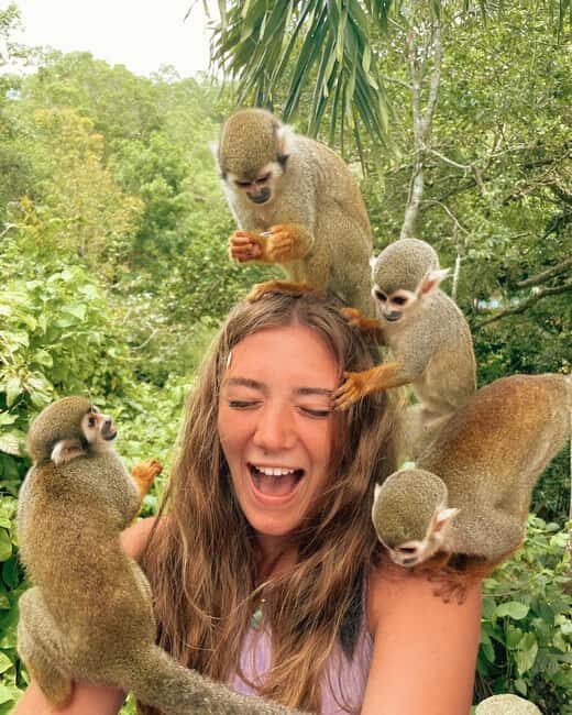 Monkey Encounter + ATV Riding Adventure Puerto Plata - Key Points