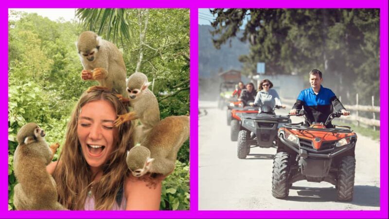 Monkey Encounter + ATV Riding Adventure Puerto Plata - Final Thoughts on the Monkey & ATV Adventure