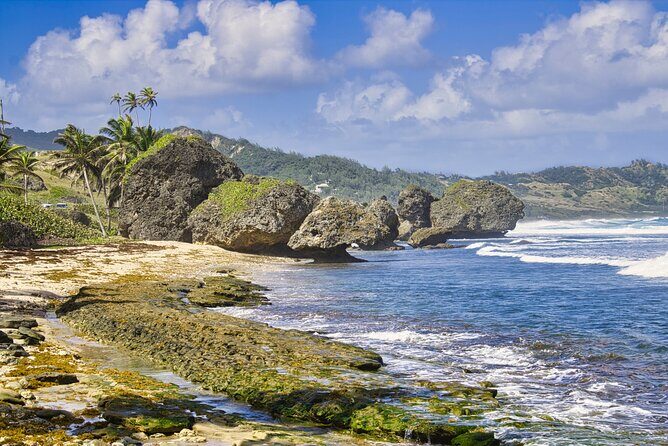 Monkey Feeding and Swimming with the Turtles Private Tour - Who Should Consider This Tour?