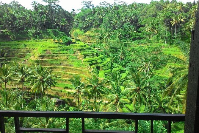 Monkey Forest, Ubud, Waterfall and Rice Terrace - Exploring Ubud’s Iconic Sights
