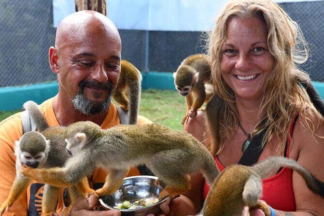 Monkey Home Puerto Plata Countryside Tour - Encounter Playful Monkeys in Puerto Plata’s Countryside