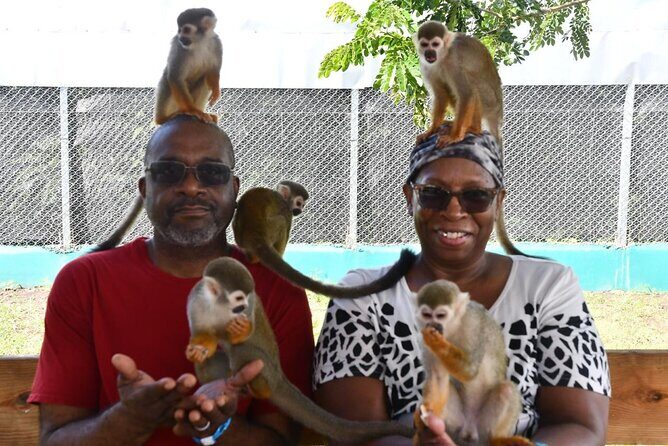 Monkey Home Puerto Plata Countryside Tour - Key Points