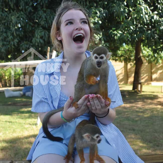 Monkey House VIP  An exclusive experience in Punta Cana - A Genuine Look at Monkey House VIP in Punta Cana