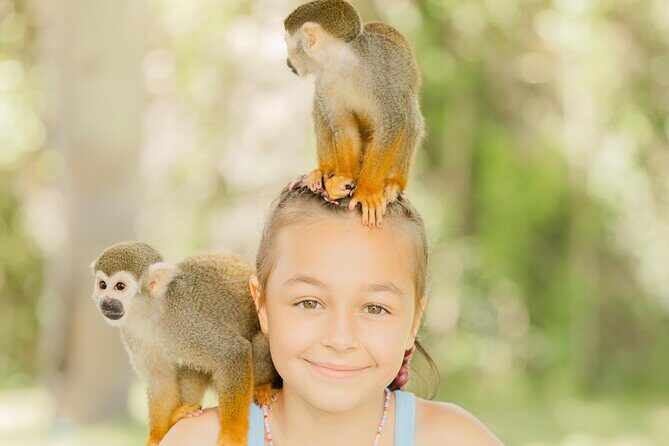 Monkey House VIP Experience with 4 species of monkeys, Punta Cana - Detailed Breakdown of the Experience