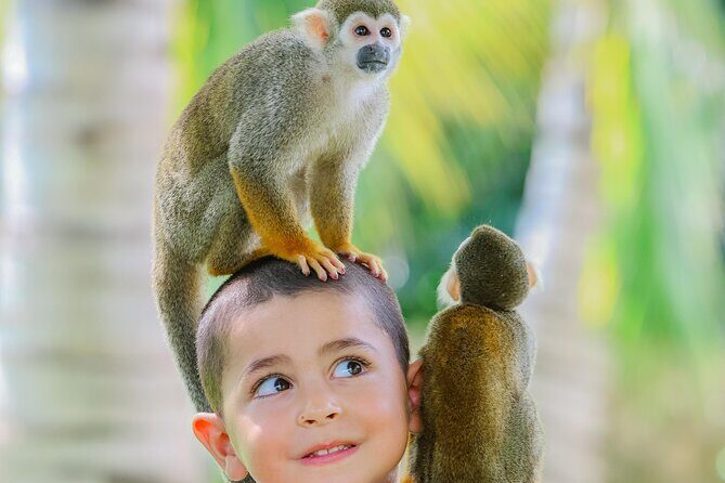 Monkey House VIP Experience with 4 species of monkeys, Punta Cana - Who Will Love This Tour?