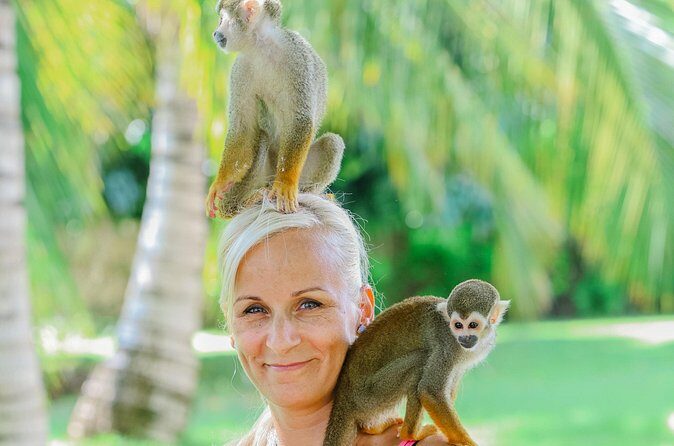 Monkey House VIP Experience with 4 species of monkeys, Punta Cana - The Sum Up