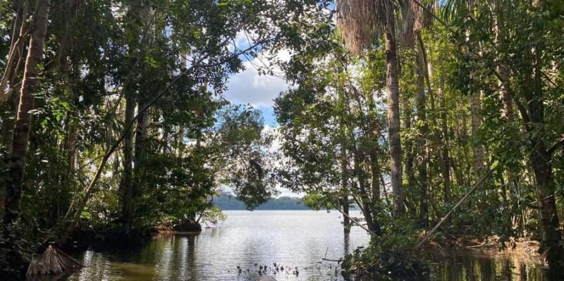 Monkey Island + Lake Sandoval + Tapir trail hike 3D/2N - What Makes This Tour Stand Out?