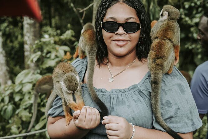 Monkey Jungle with Zip line - The Value of This Tour