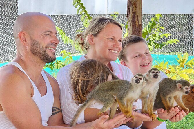 Monkey Magic and City Views in Puerto Plata - Why This Tour Offers Good Value