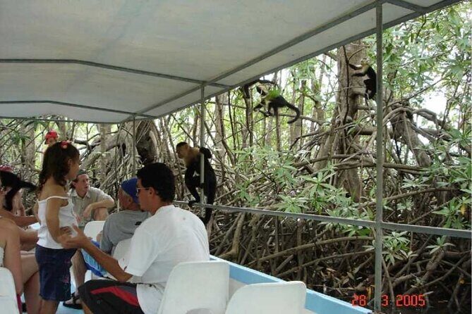 Monkey Mangrove tour - Key Points