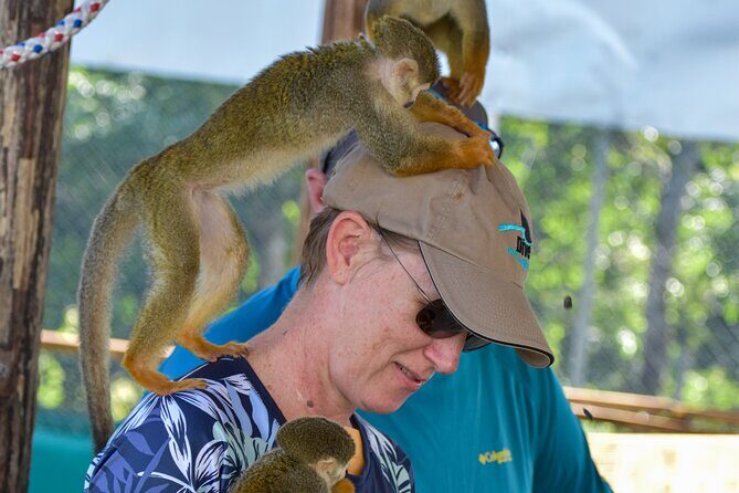 Monkey Mania Puerto Plata - How the Tour Works: A Closer Look